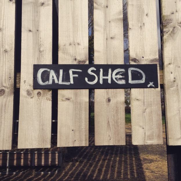 "Calf Shed"